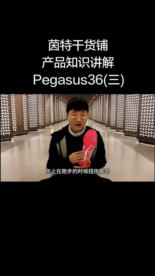 飞马36的那些事
