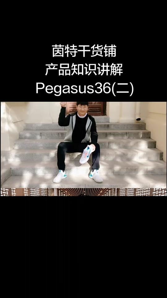 飞马36的那些事