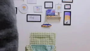 人生第一块机械键盘