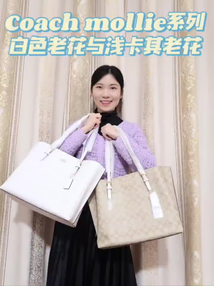 Coach mollie系列托特包｜冰川
