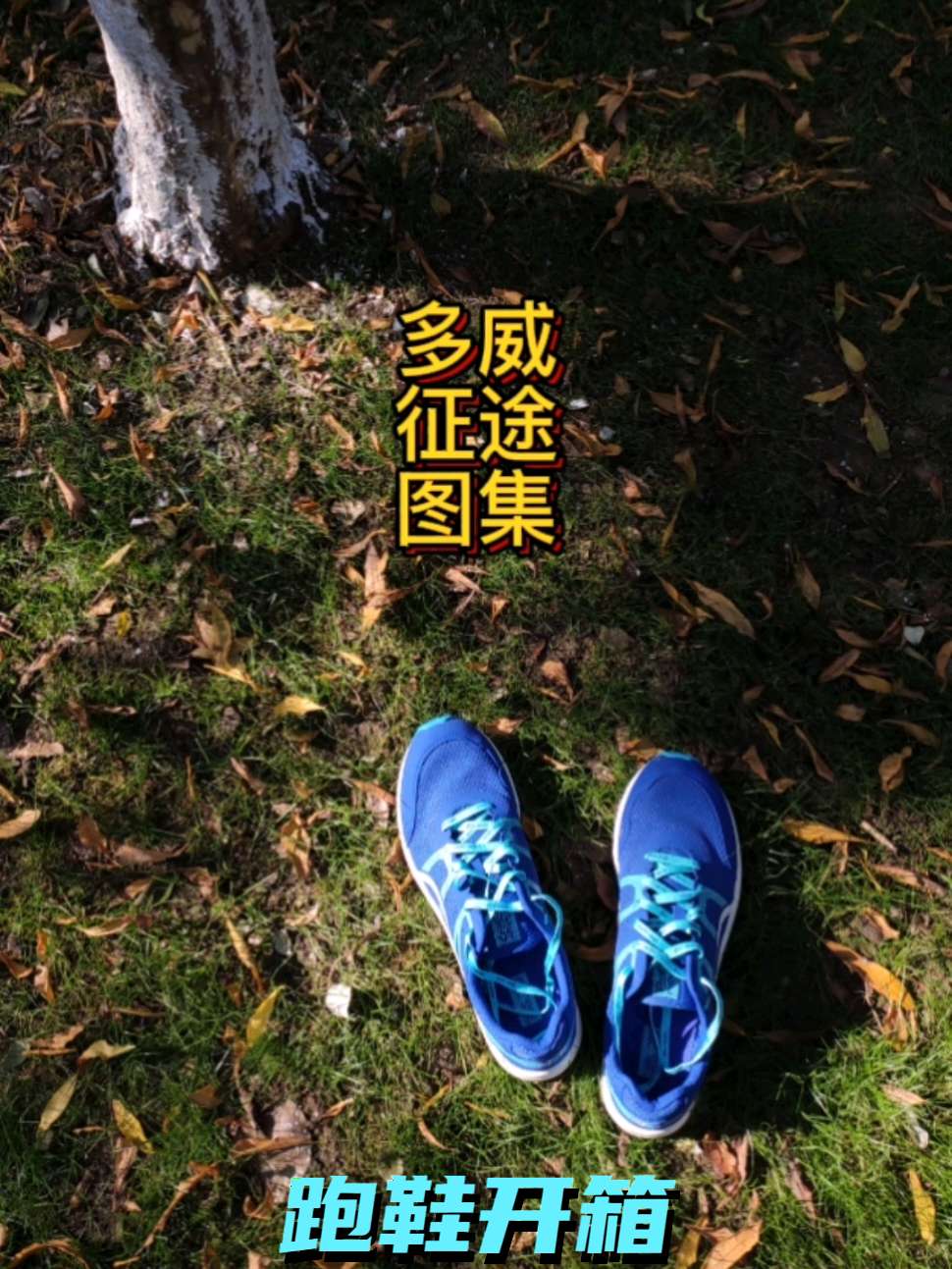 多威征途
“碳板”跑鞋
其实只是在中足位