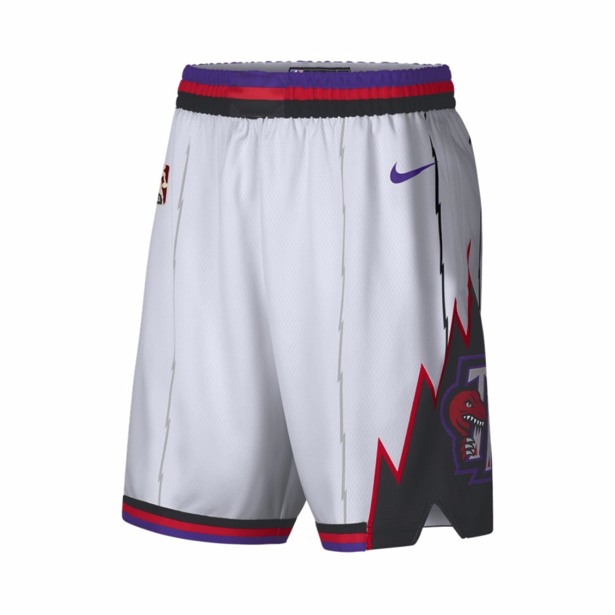 Nike NBA猛龙队球迷版运动短裤 AV4552