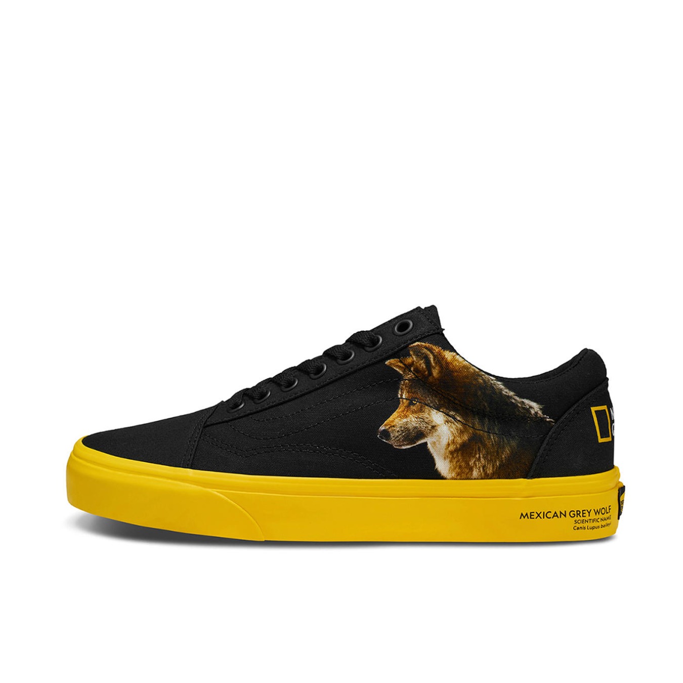 推荐商品：Vans/范斯 Old Skool 滑板鞋 板鞋 轻便防滑复古舒适经典 国家地理联名/动物