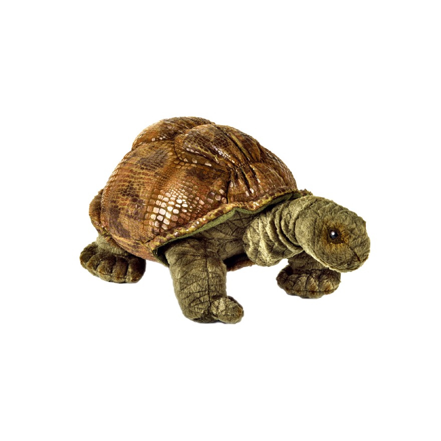 National Geographic/国家地理 动物系列 加拉帕戈斯象龟 毛绒玩具