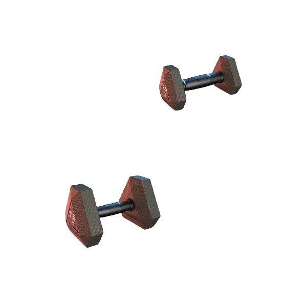 Decathlon 哑铃 121306