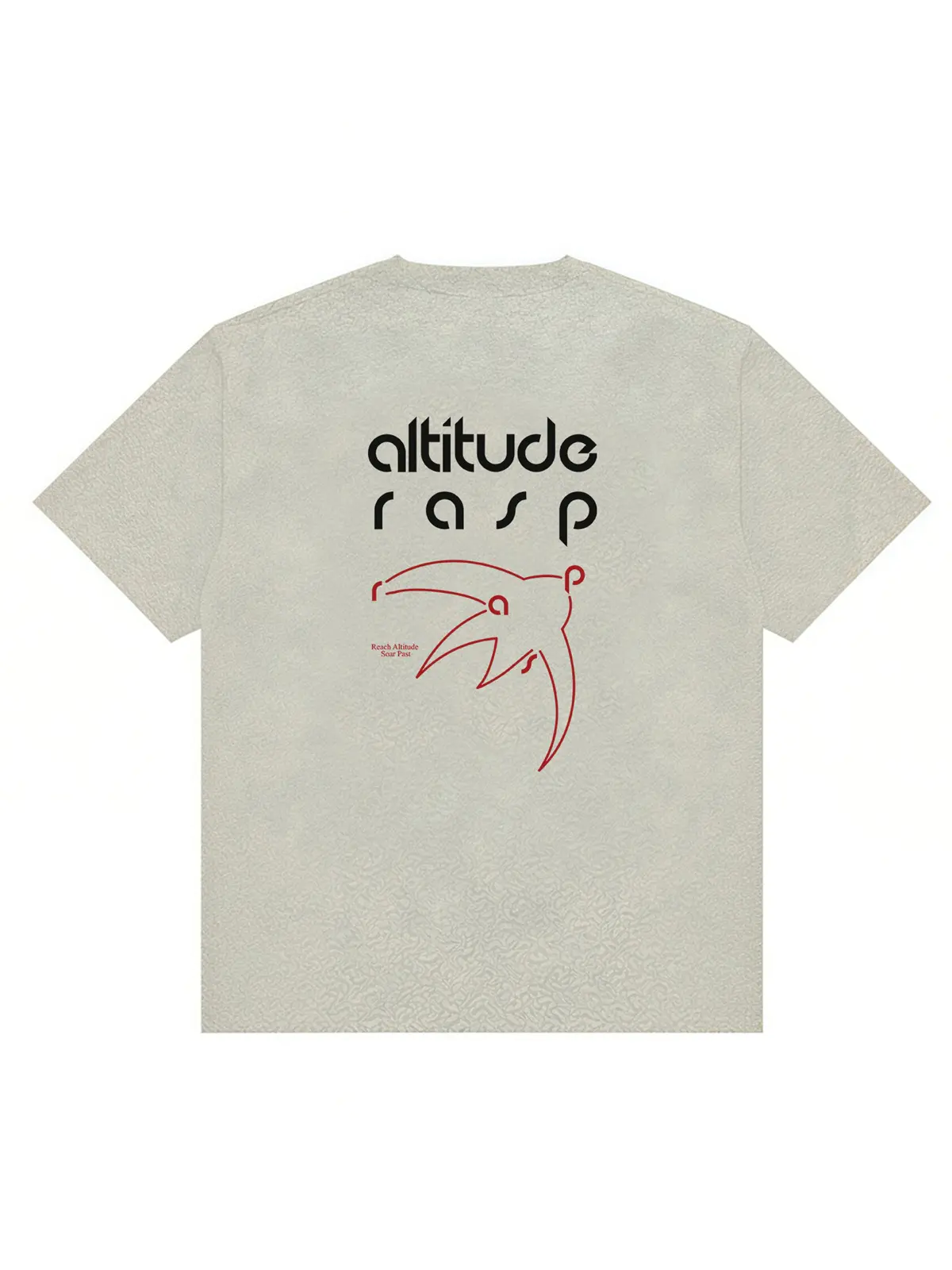 RASPBRAND T恤 线条鸟撞色印花设计感舒适索罗娜运动短袖T恤 RASP-T1117 白花灰