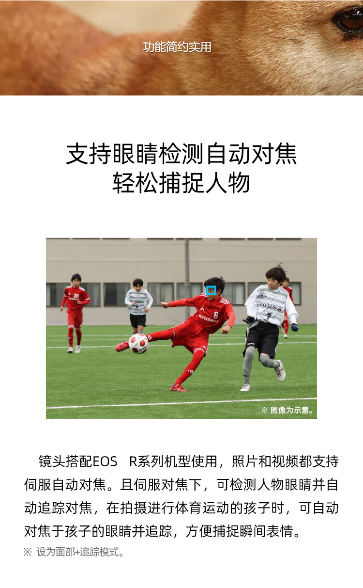 识货商品介绍图