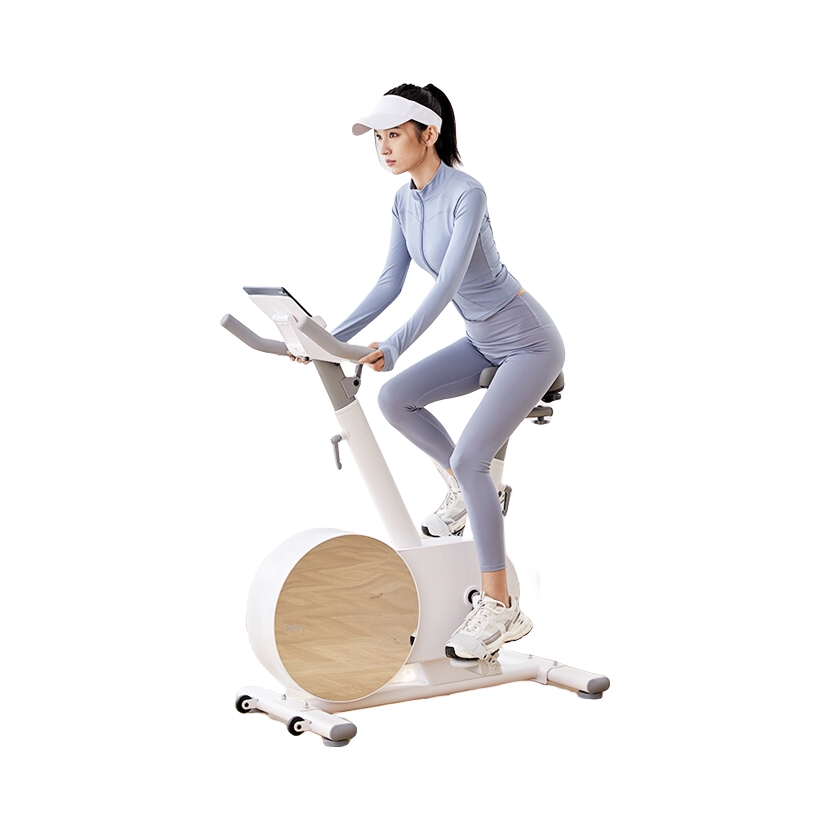 推荐商品：赤兔 亚运 家用 室内 动感单车 B1