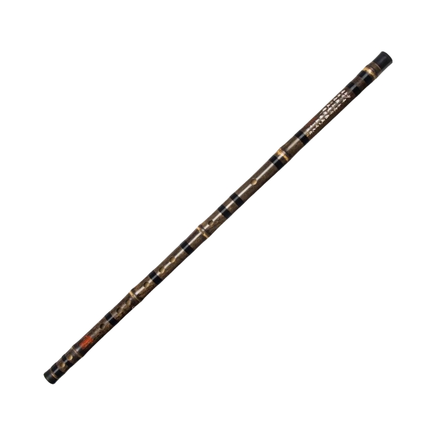 推荐商品：董生华 整节零基础初学考级演奏紫竹笛