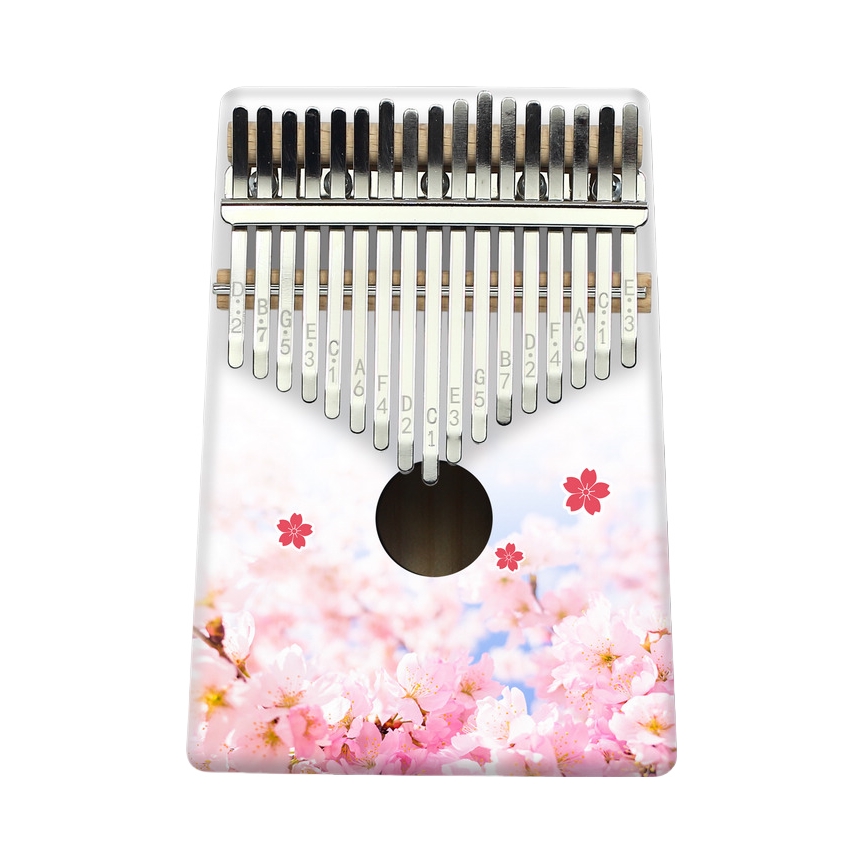 推荐商品：KGRB/柯锐 ZF29 17音网红私人拇指琴