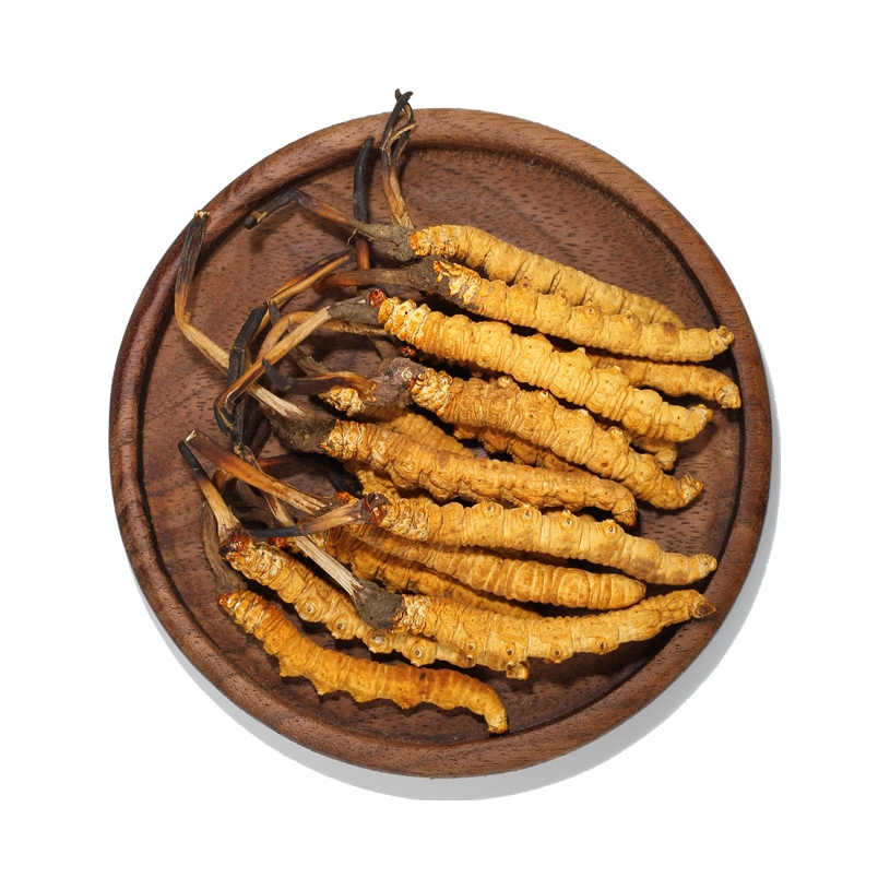 推荐商品：康维度 西藏那曲冬虫夏草 滋补营养