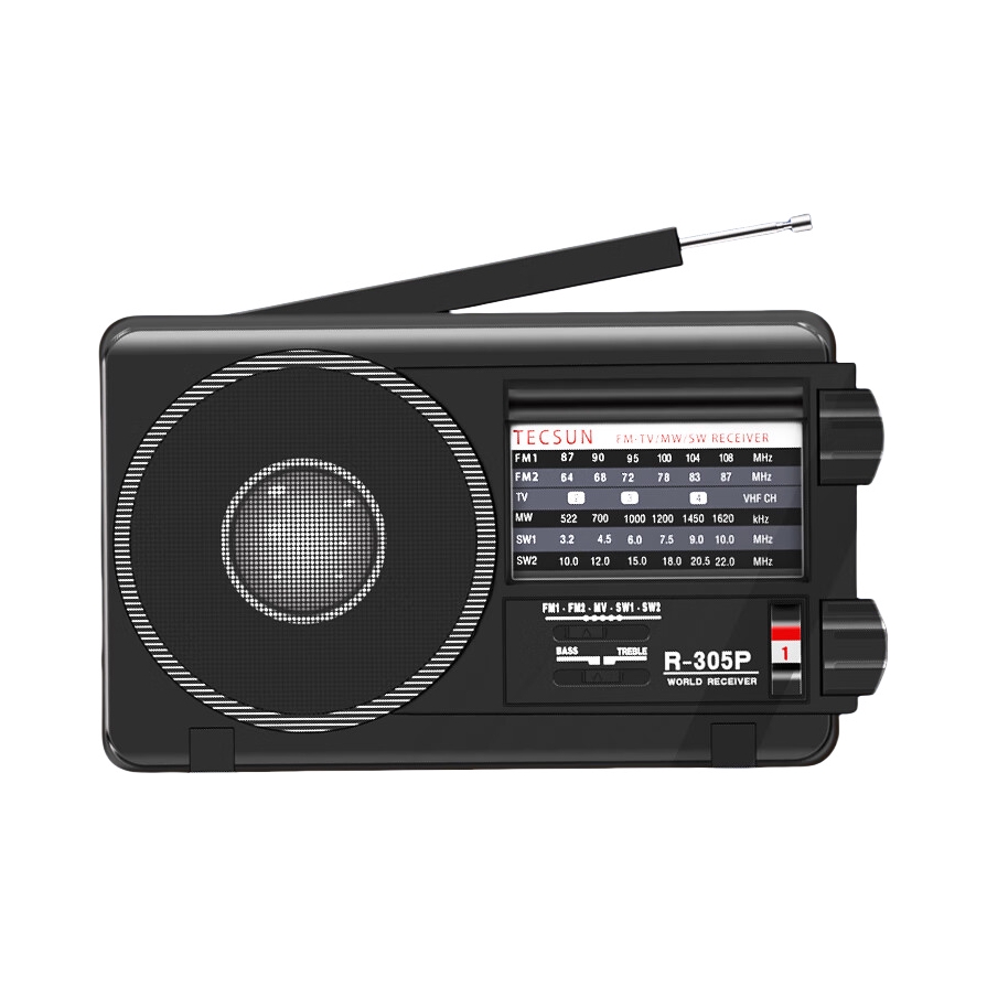推荐商品：Tecsun/德生 R-305P 便携式 收音机 大音量 易操作
