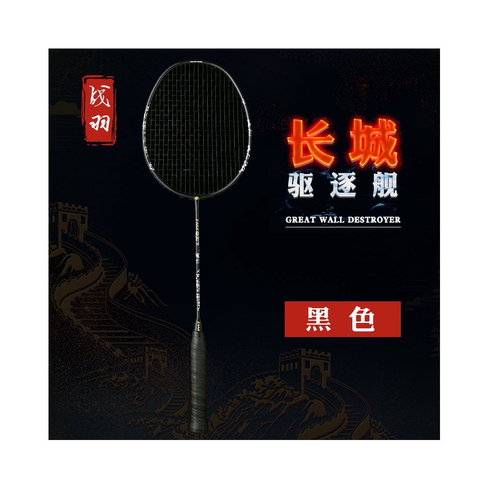 推荐商品：战羽 驱逐舰 全碳素 超轻 训练 进攻型 耐打 羽毛球拍