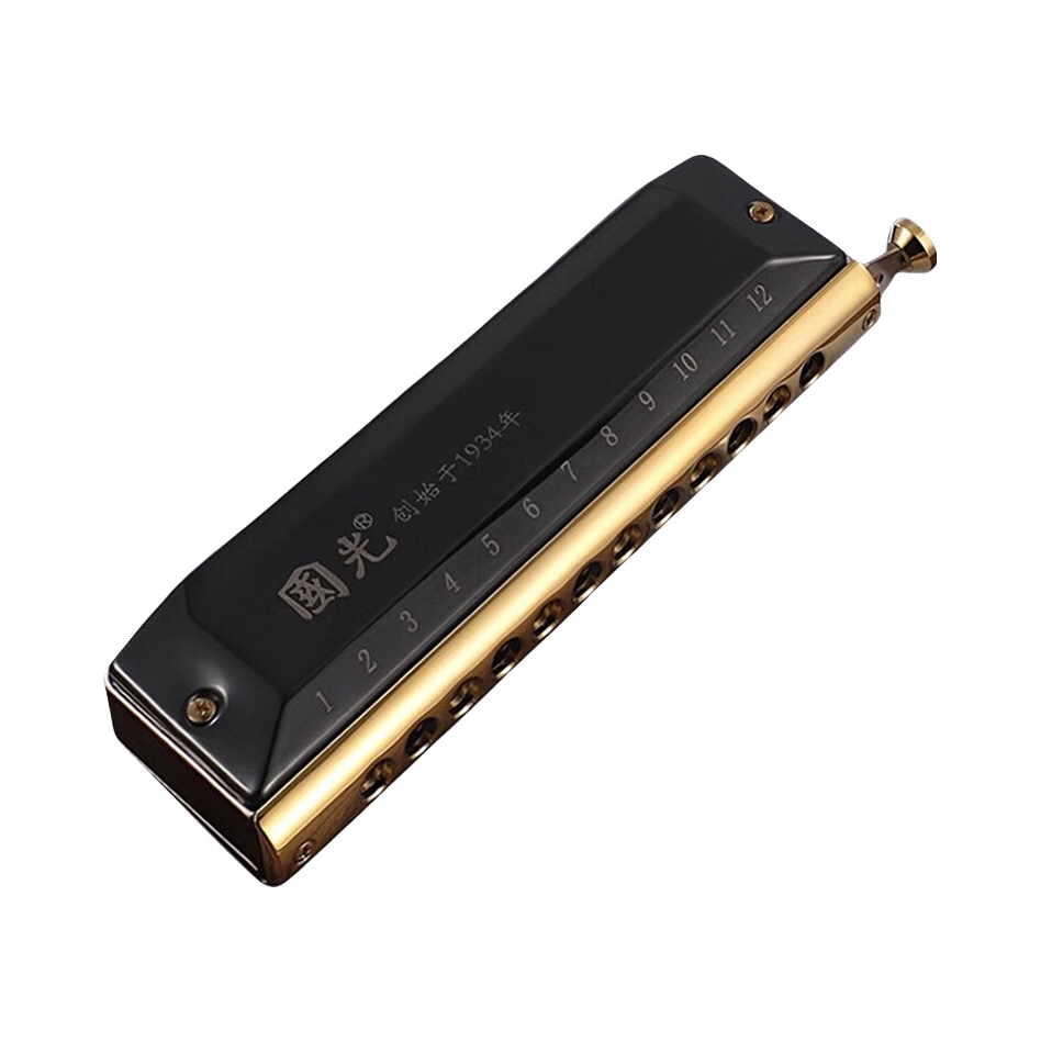 推荐商品：国光 GH-1664 12孔半音阶口琴成人专业演奏级初学者自学入门乐器