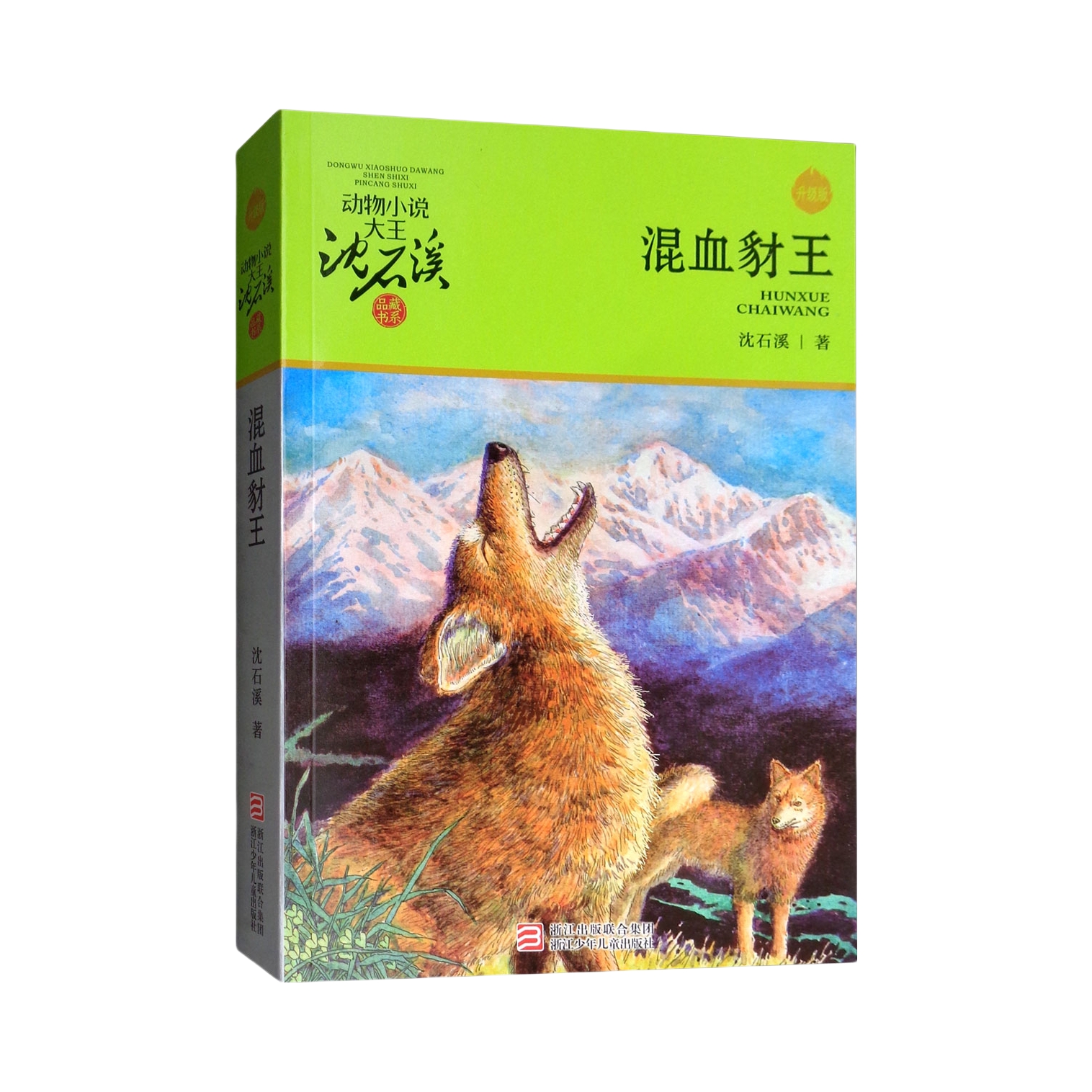 推荐商品：《混血豺王》沈石溪著 动物小说大王沈石溪品藏书系 小学生三四五六年级 课外儿童文学书