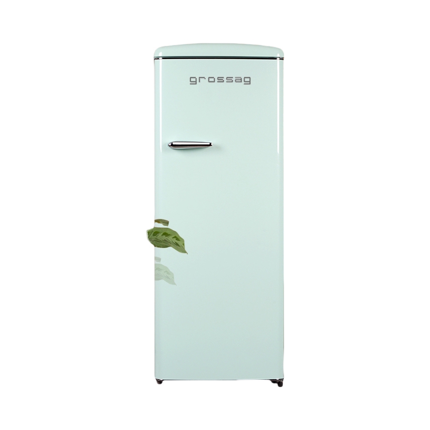 推荐商品：grossag/格罗赛格 225升 单门冰箱 家用小型节能 法式智能 BC-225RFC