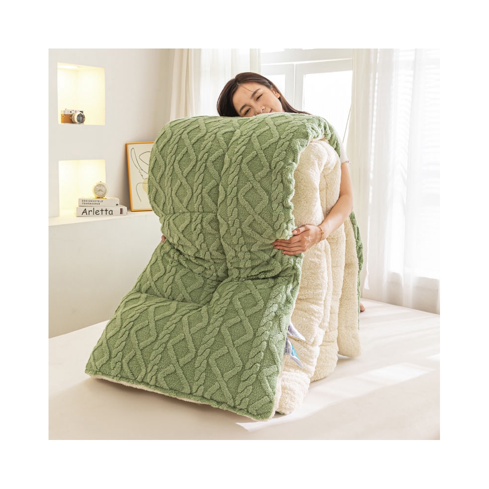 推荐商品：优冶 B类 加厚款 羊羔绒塔芙绒双面绒被子 冬季保暖学生宿舍