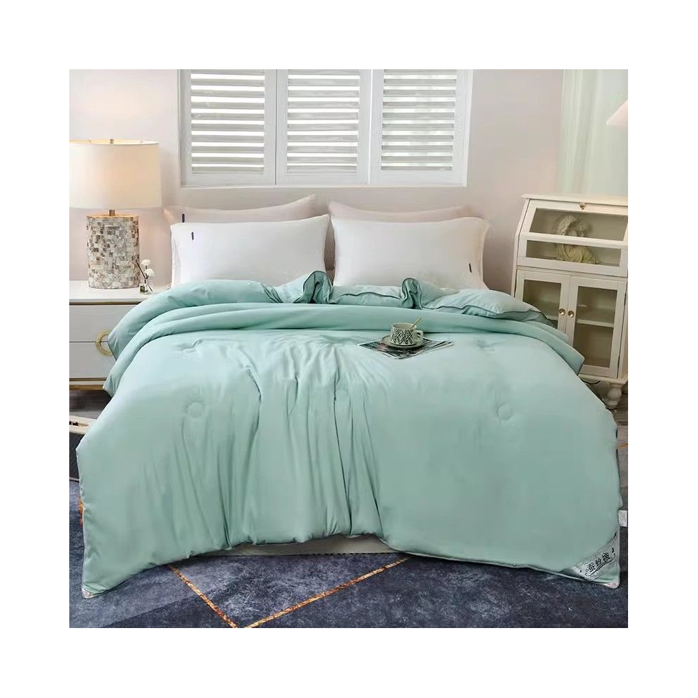 推荐商品：雪琳妃 B类 天丝被面 轻奢系列 100%蚕丝冬被