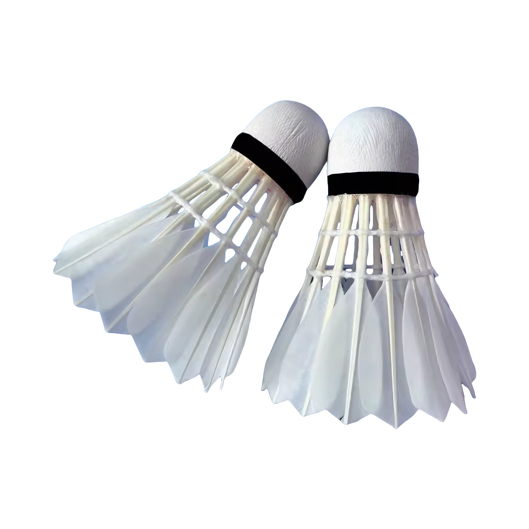 推荐商品：江山燕 N999 稳定 耐打 训练 比赛 鸭毛 羽毛球