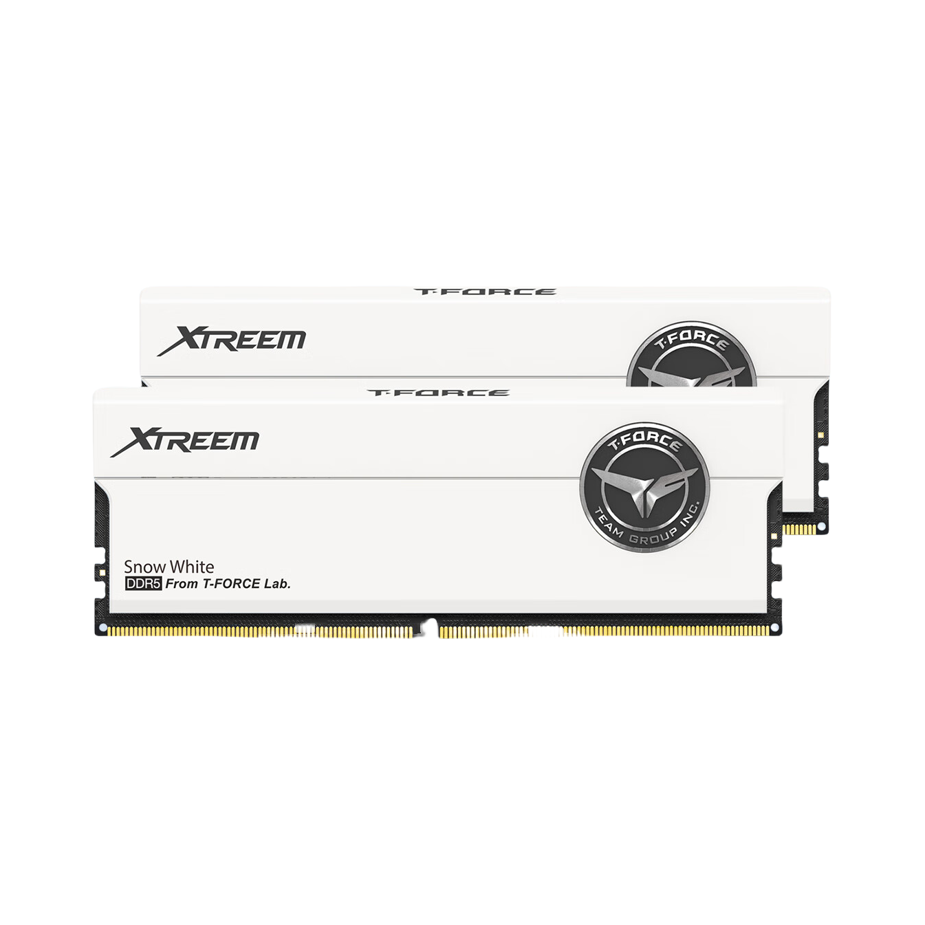 推荐商品：Team/十栓 XTREEM 玄境 DDR5 黑色/白色/粉色 台式机 马甲条 内存条 一键超频XMP 2mm厚实散热片
