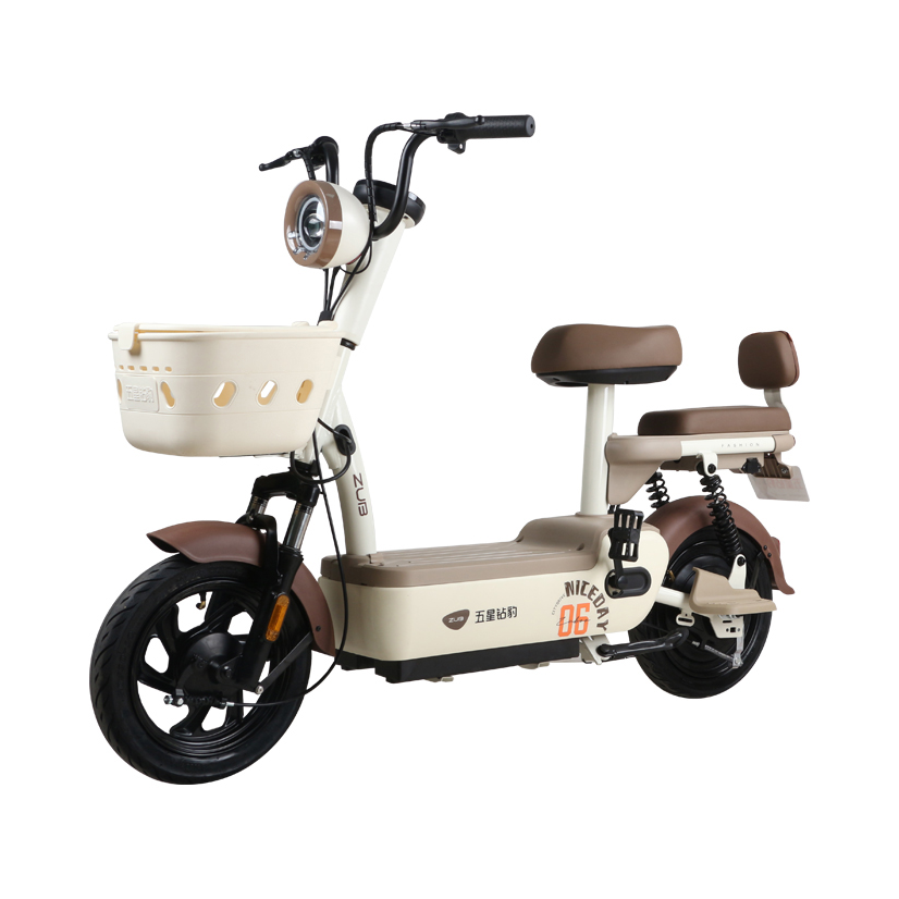 推荐商品：ZUB/五星钻豹 A39 2026新国标 铅酸电池 高碳钢 长续航 通勤 减震 电动自行车