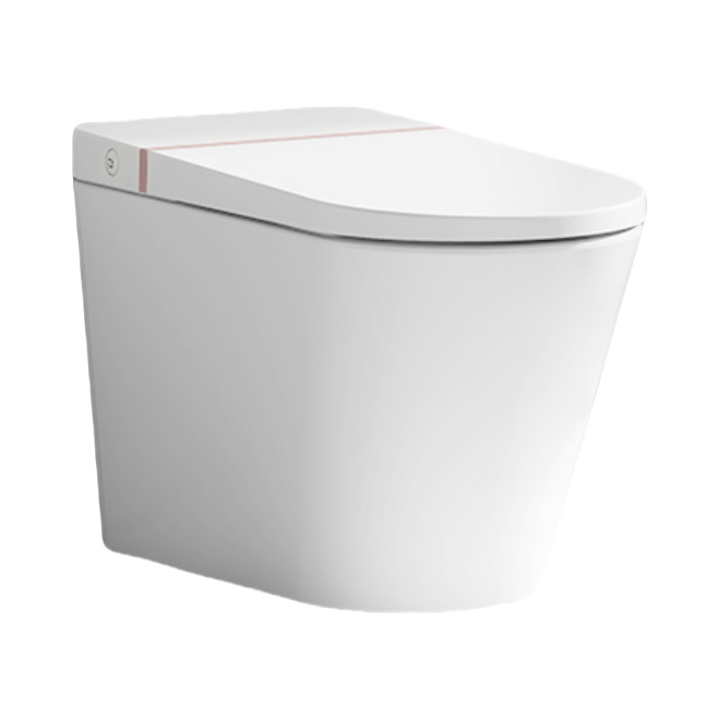 推荐商品：AXENT/恩仕 即热式 虹吸纯平智能清洗一体马桶 G1