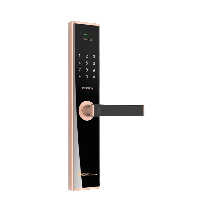 推荐商品：青稞 标准款 C级锁芯 九大开锁方式 智能门锁 N5H