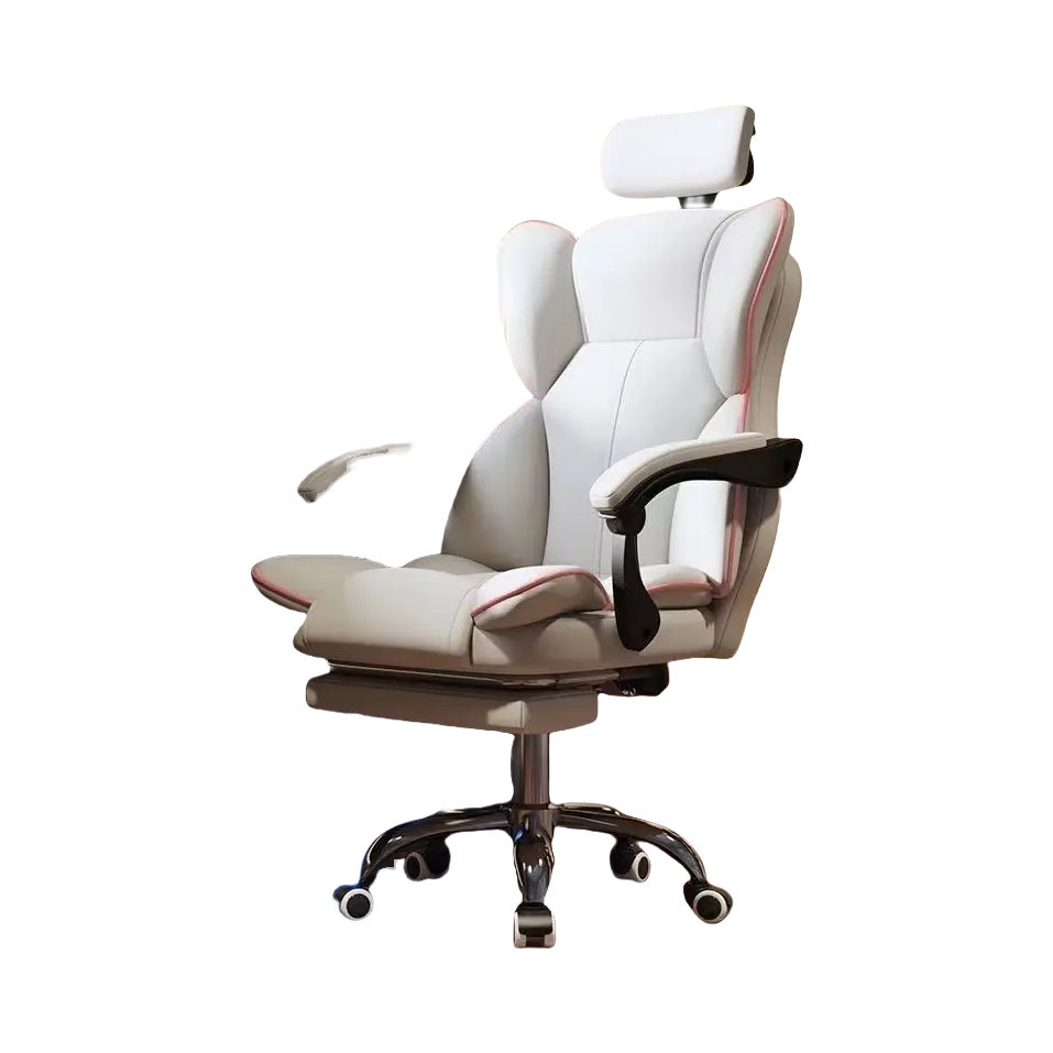 推荐商品：卡萨格 可躺可升降 人体工学椅