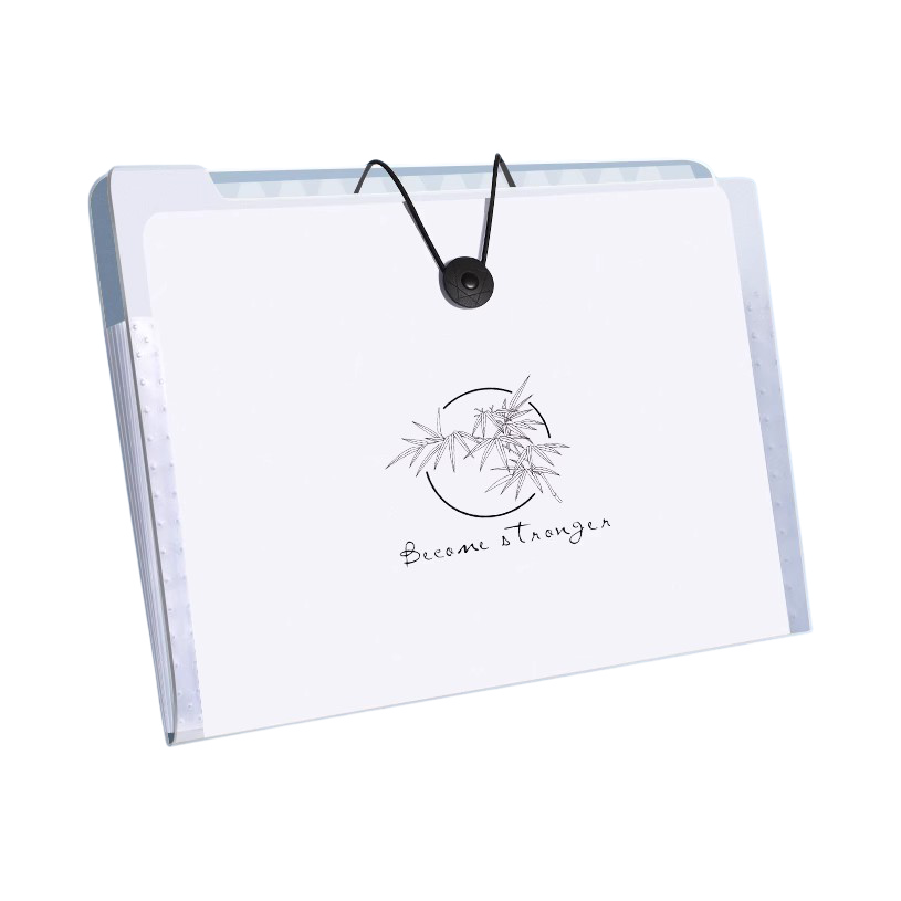 推荐商品：优翼 简约款 PP材质 A4 8层 风琴包