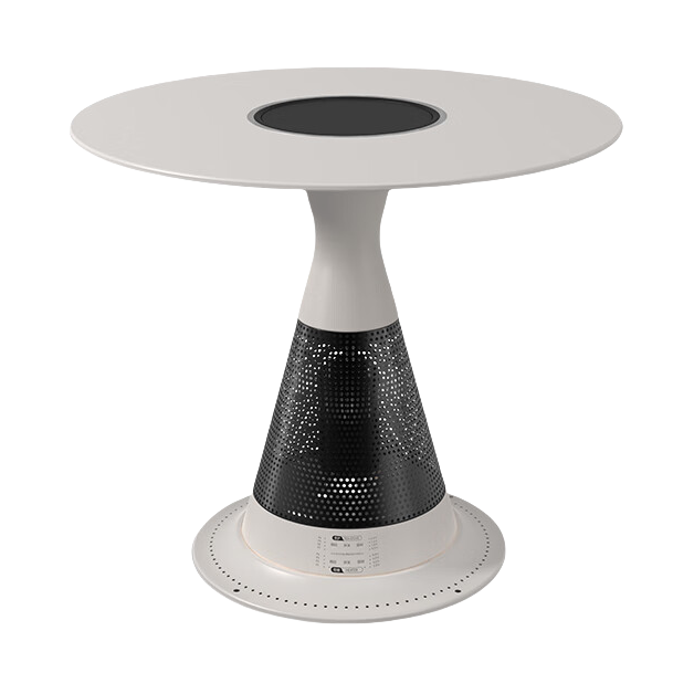 推荐商品：天林 AB41 围炉取暖器 智能恒温 4档温控调节