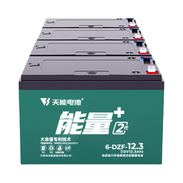 推荐商品：天能 能量+2代系列 大容量 电动车电池