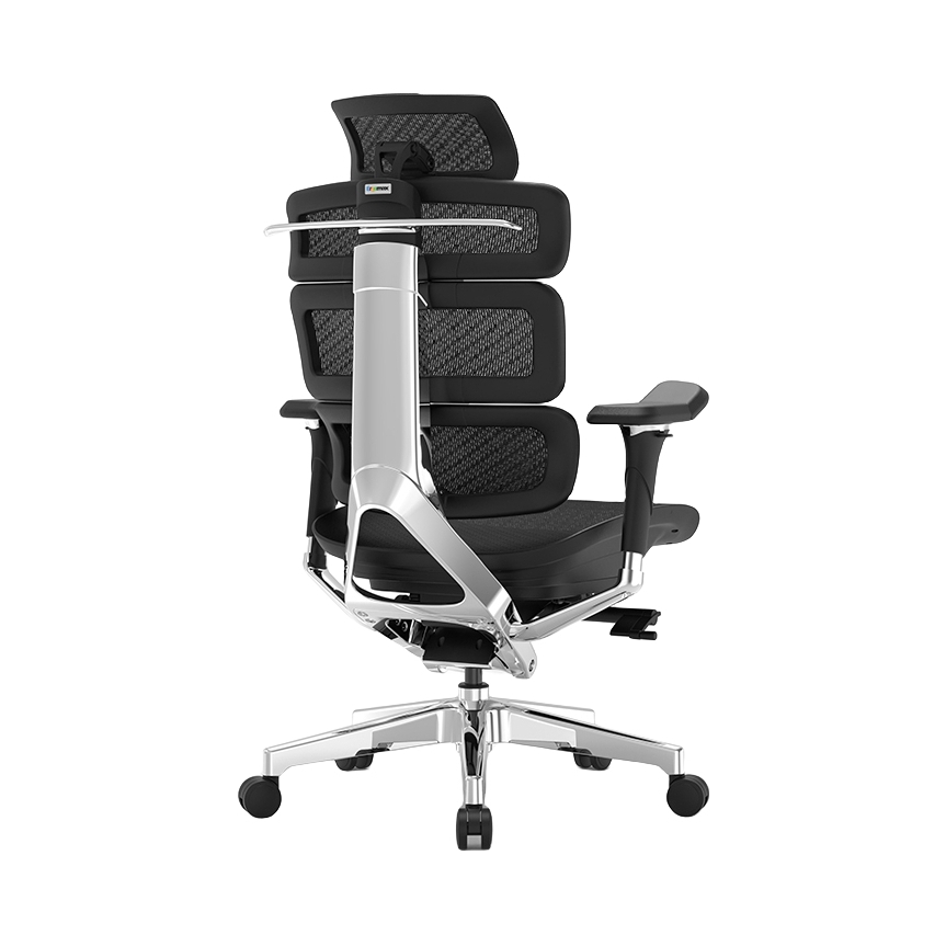 推荐商品：Ergomax/迩高迈思 人体工学椅 Evolution2 ProMax