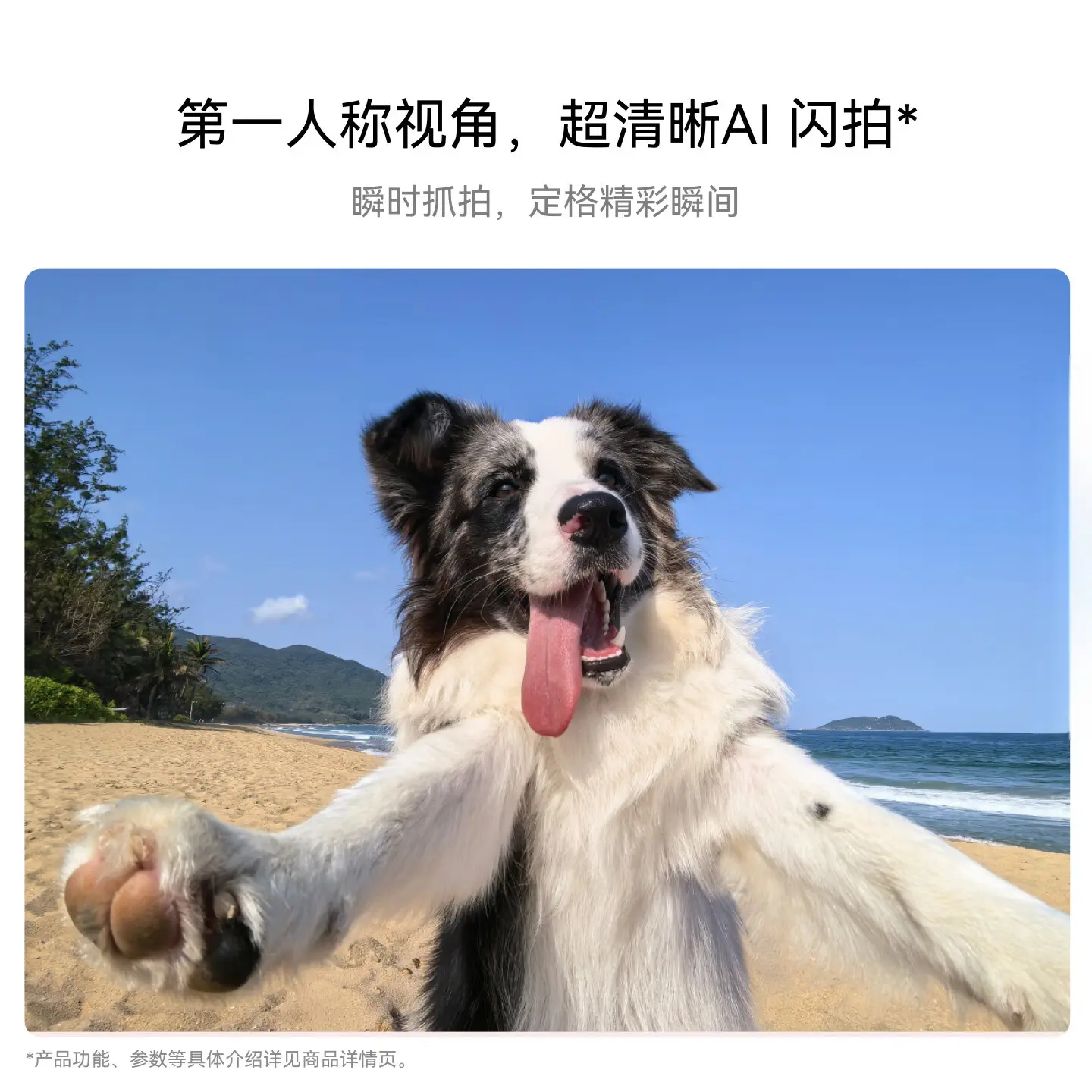 购物之前要识货 正品保障|平台比价|售后无忧