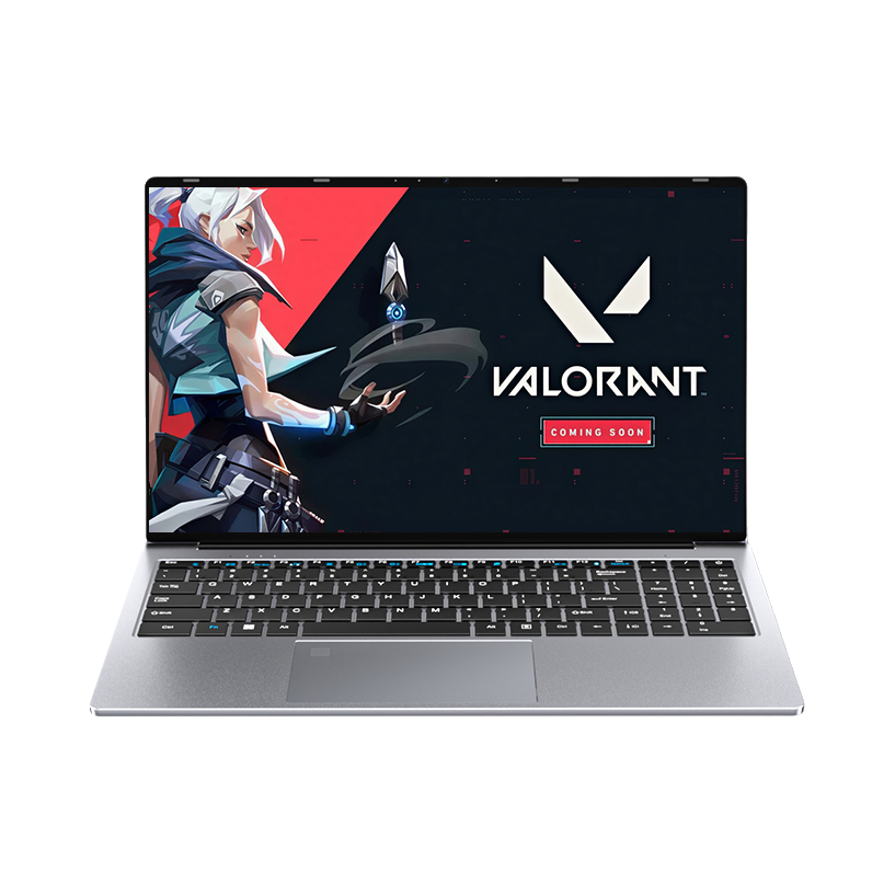 推荐商品：极械 革命X16Pro MX350独立显卡 2025款 15.6英寸 游戏本 指纹解锁 持久续航