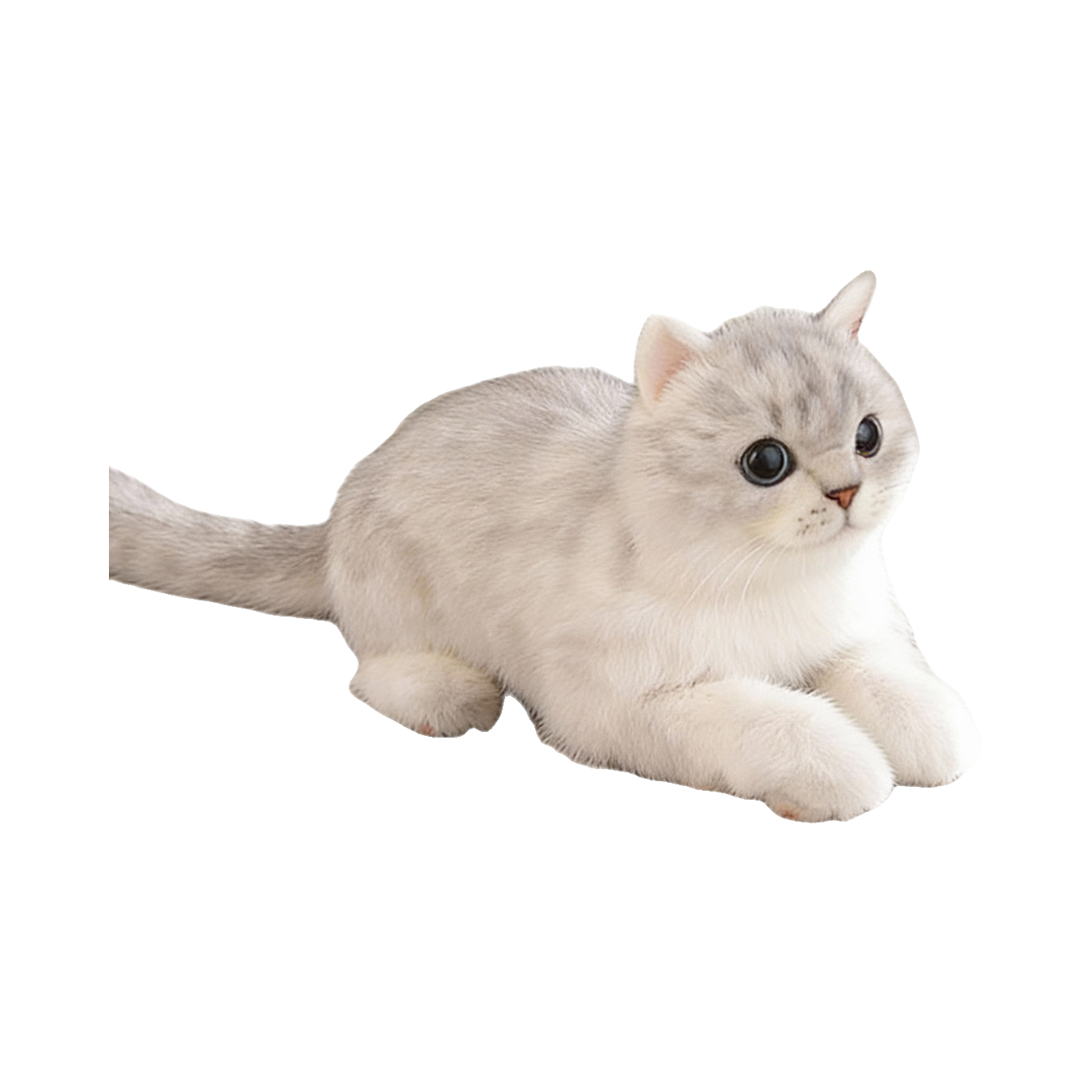推荐商品：卡豆克隆 仿真银渐层 猫咪 毛绒玩具