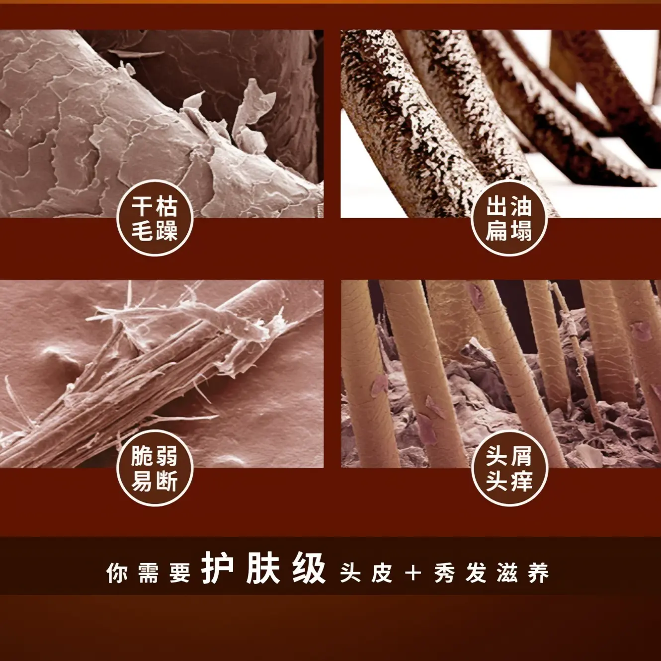 购物之前要识货 正品保障|平台比价|售后无忧