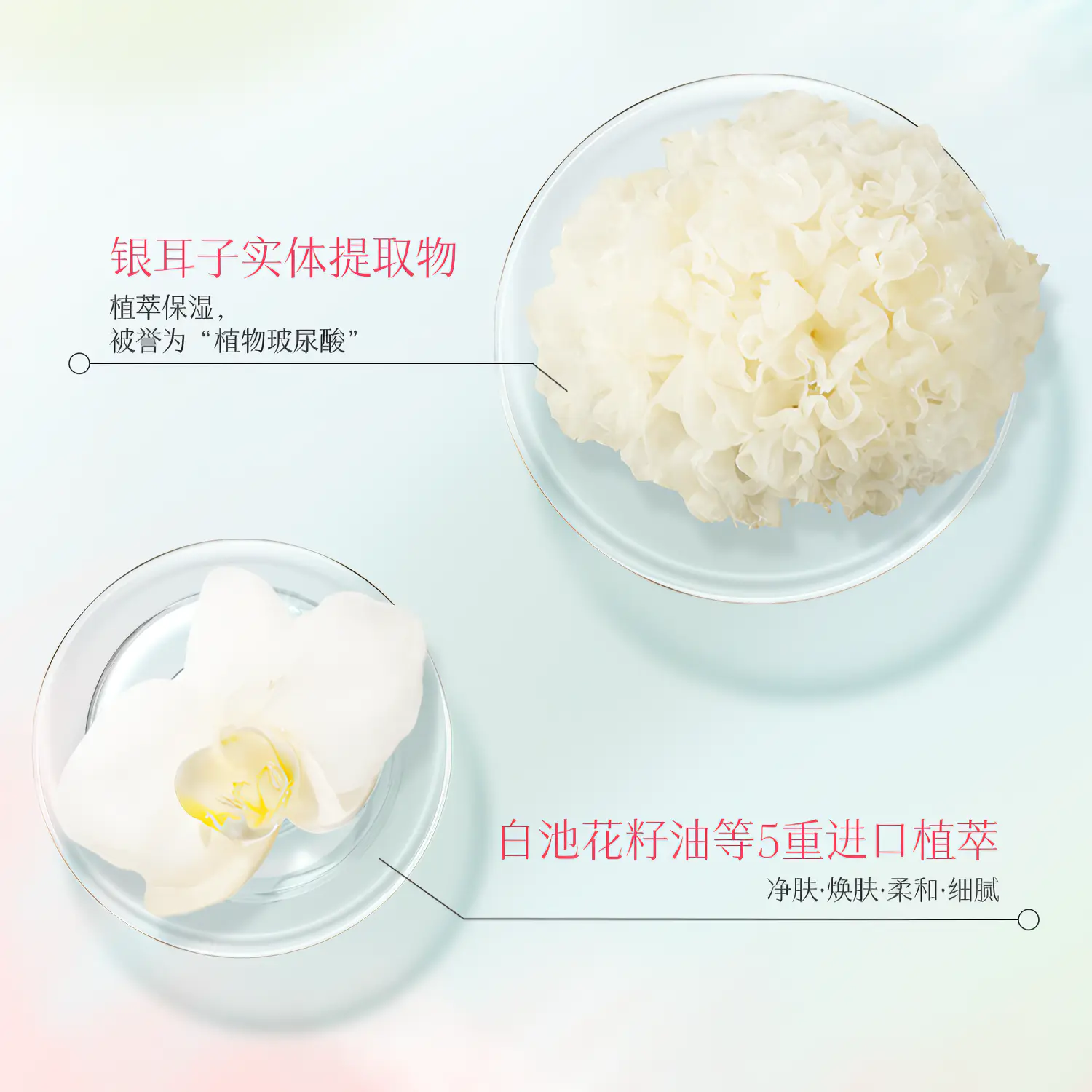 购物之前要识货 正品保障|平台比价|售后无忧