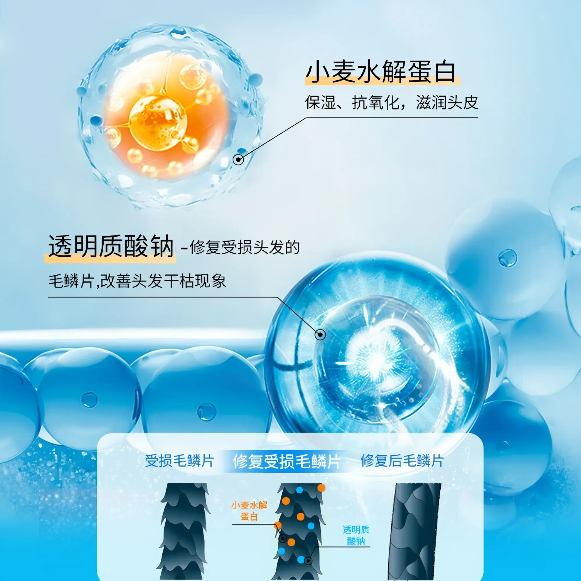 购物之前要识货 正品保障|平台比价|售后无忧