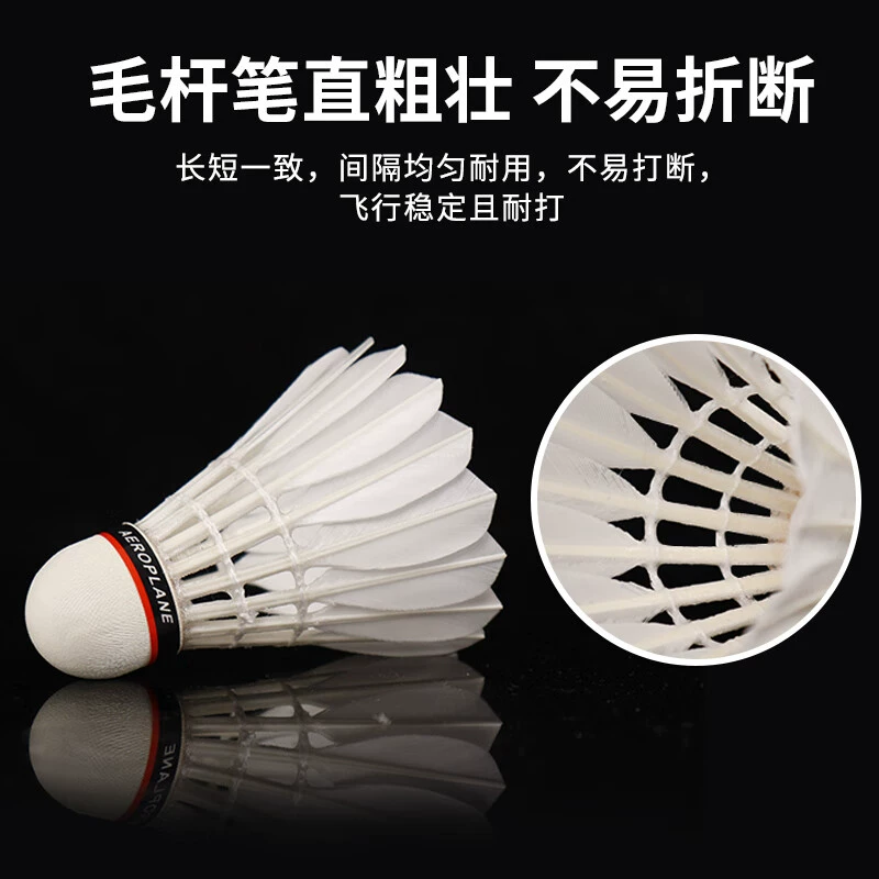 推荐商品：燕子 EG1130 耐打 职业 训练 国际比赛 羽毛球