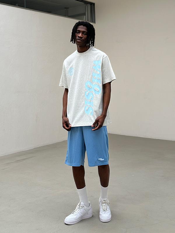 推荐商品：WHOOSIS/不知其名  竖排竖版直筒落肩袖圆领套头短袖T恤 男女同款 W240244 浅花灰