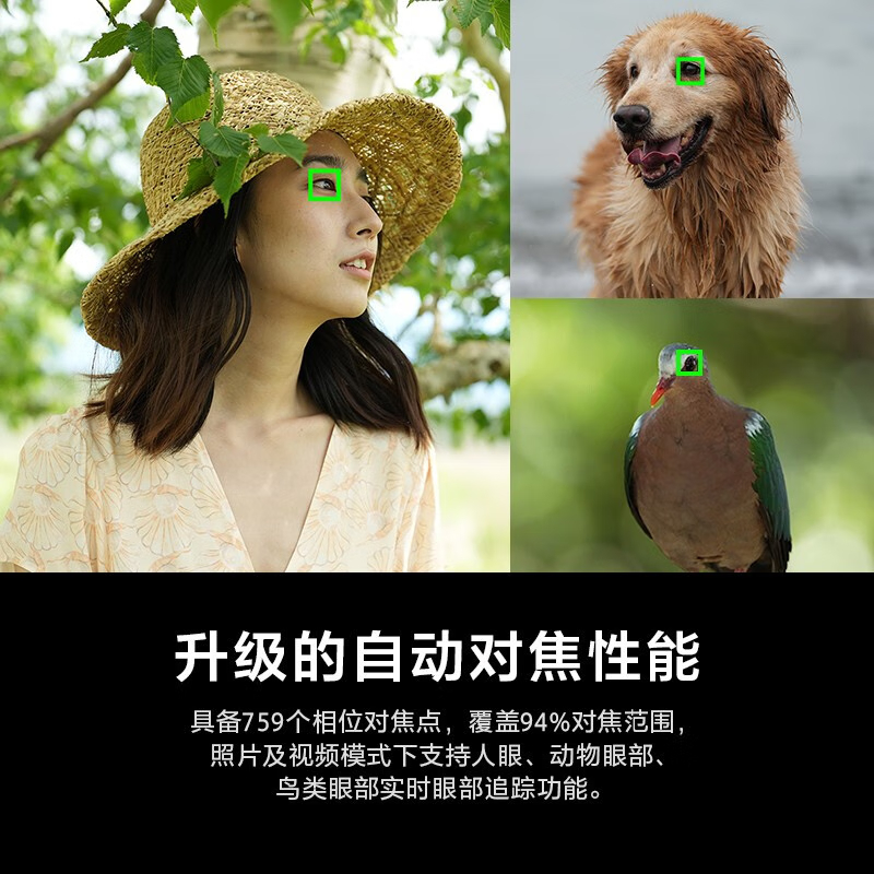 购物之前要识货 正品保障|平台比价|售后无忧