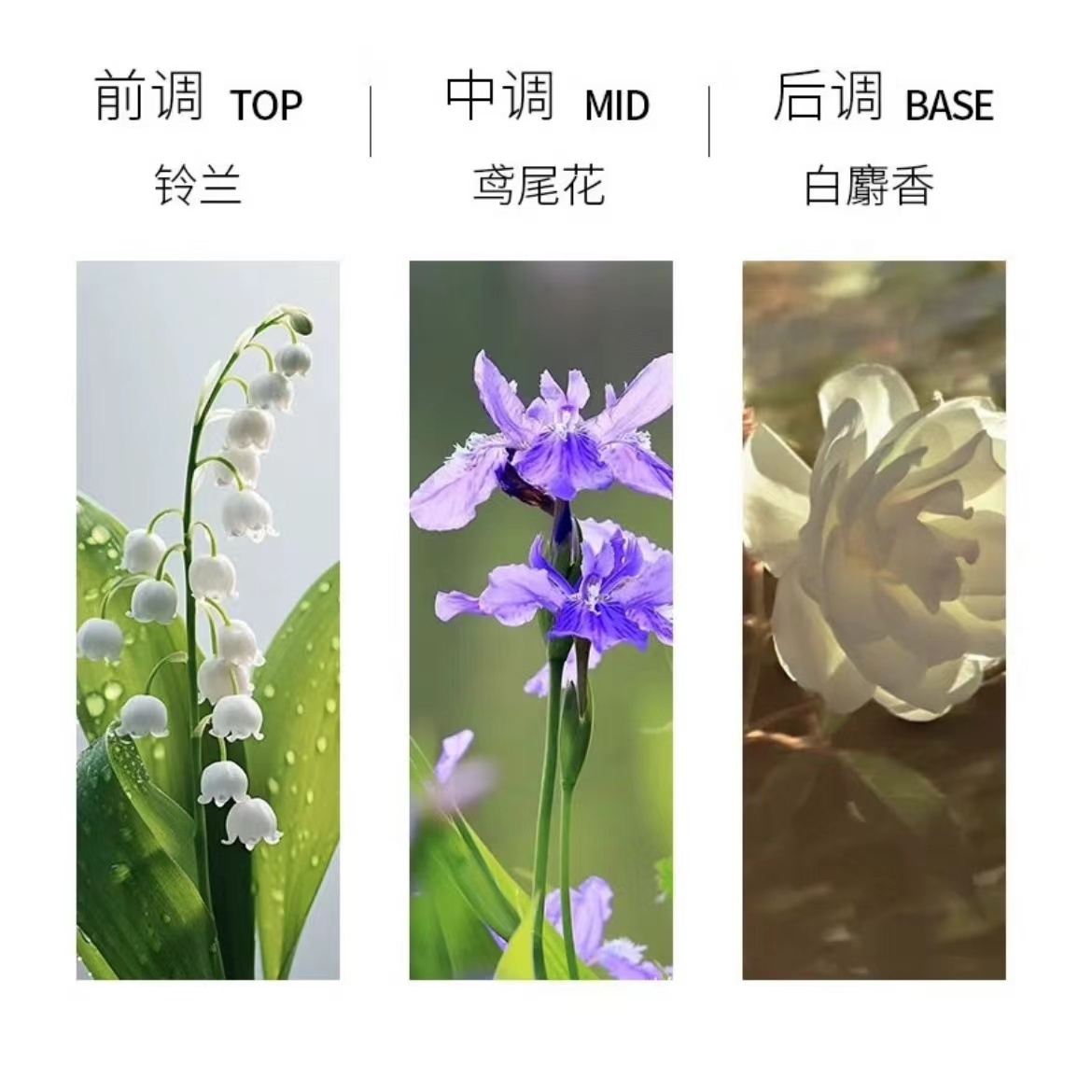 购物之前要识货 正品保障|平台比价|售后无忧