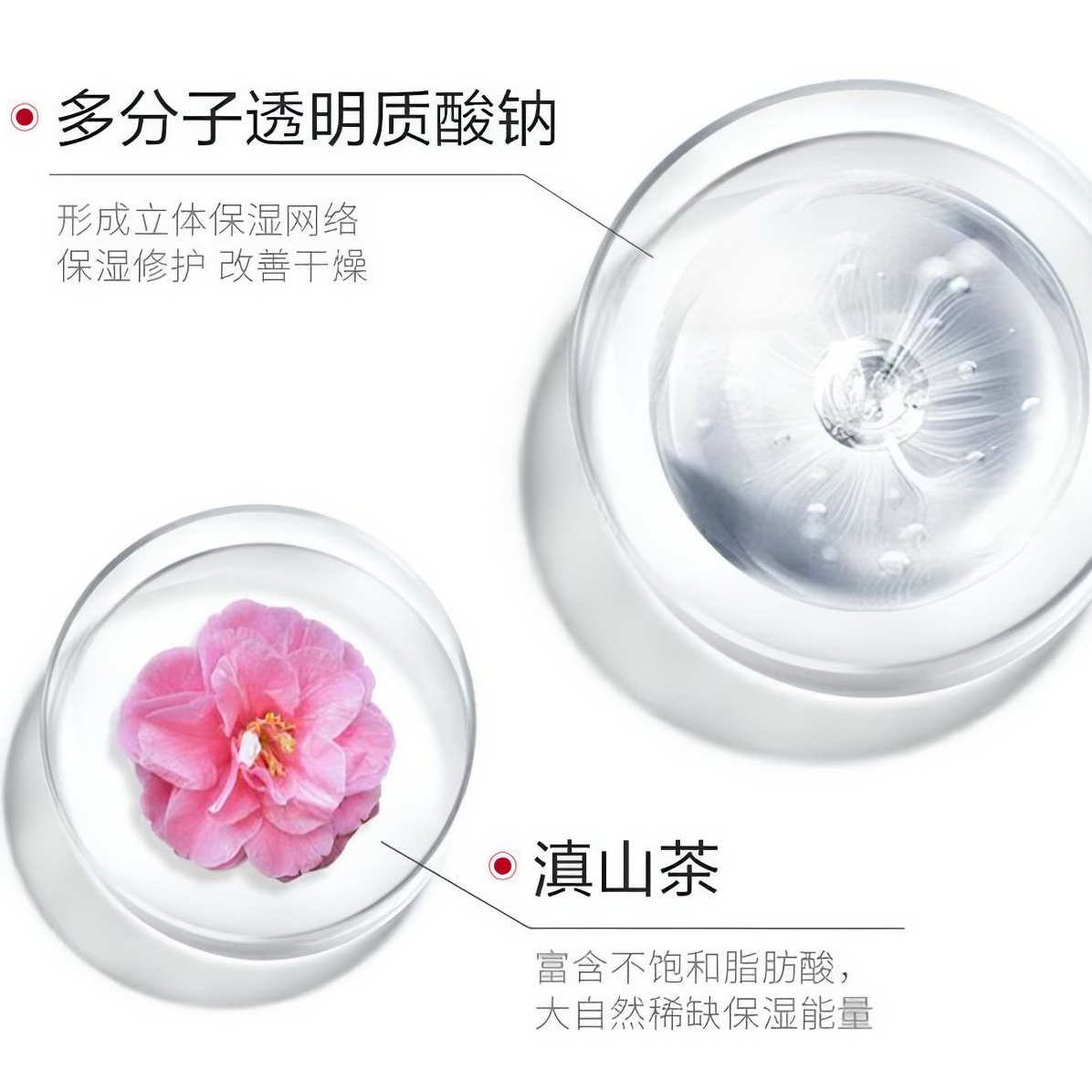 购物之前要识货 正品保障|平台比价|售后无忧