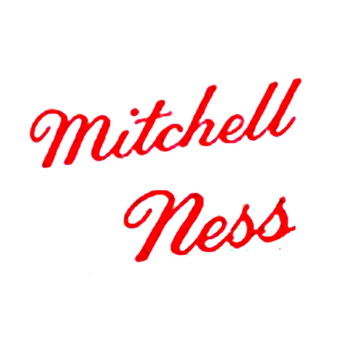 Mitchell Ness 基德 篮网队 5号球衣 06-07/AU