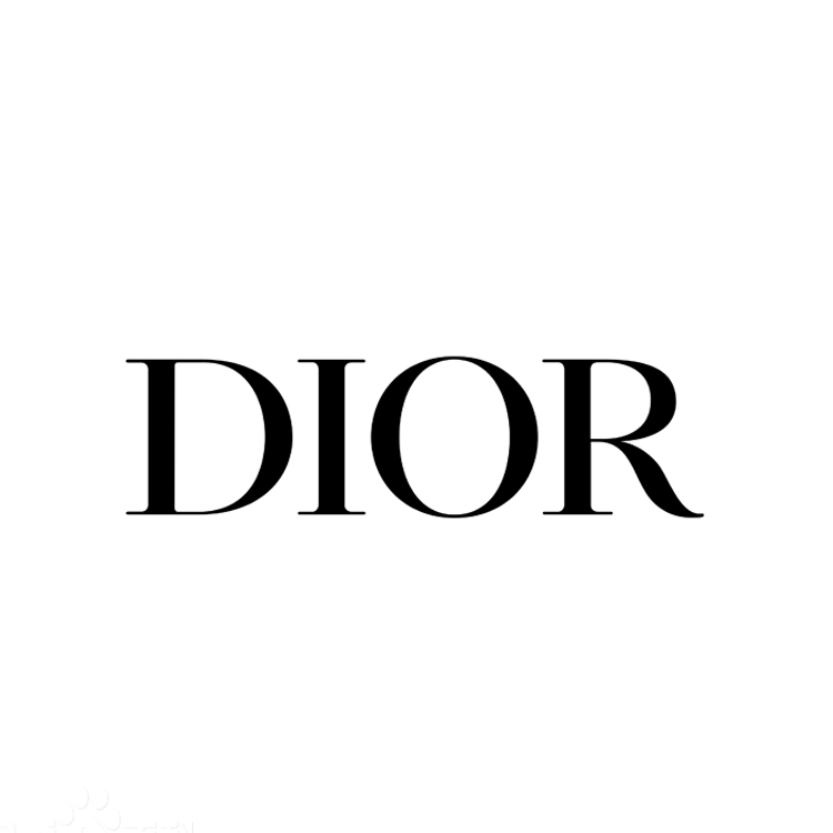 Dior 刺绣帆布肩带单肩手提包戴妃包 M0565JREY_M957 粉色