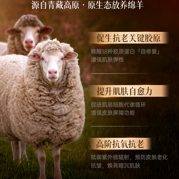 购物之前要识货 正品保障|平台比价|售后无忧