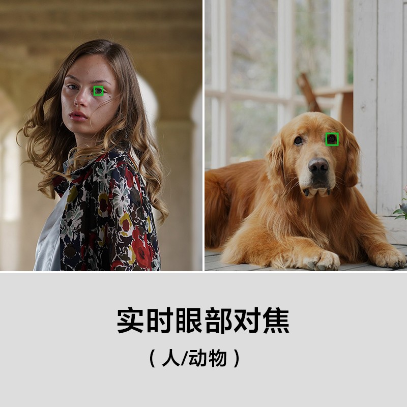 购物之前要识货 正品保障|平台比价|售后无忧
