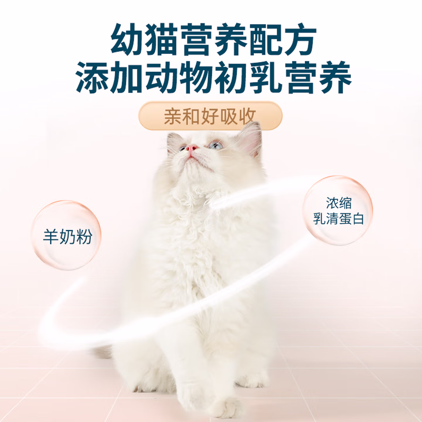 购物之前要识货 正品保障|平台比价|售后无忧
