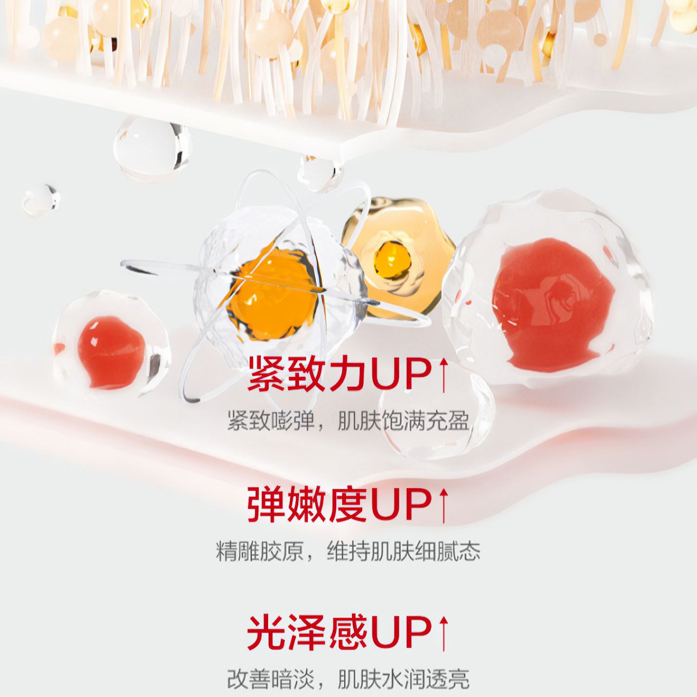 购物之前要识货 正品保障|平台比价|售后无忧