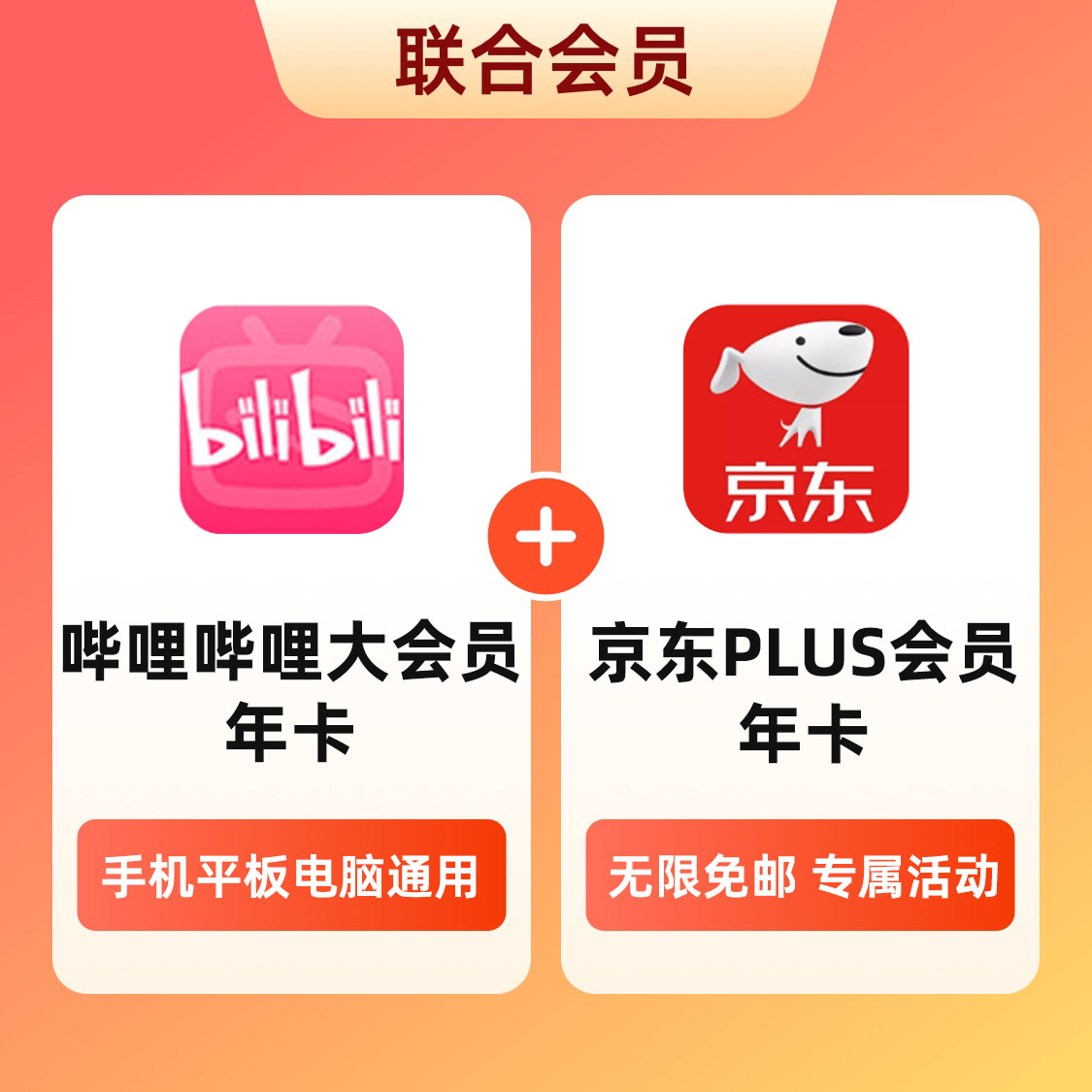 推荐商品：bilibili/哔哩哔哩 联合会员